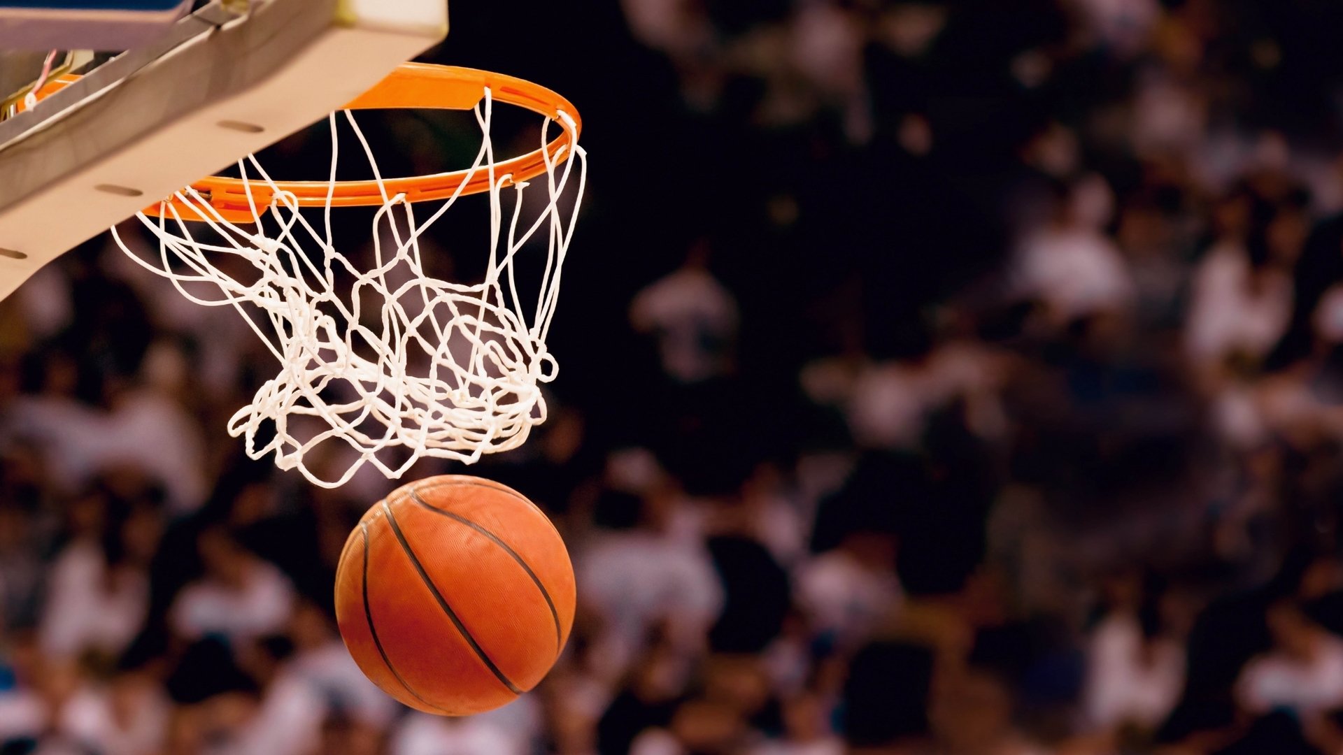 以便我根据内容生成标题。